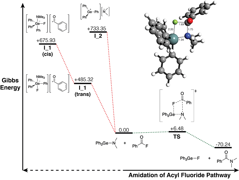 Amidation Energy Profile