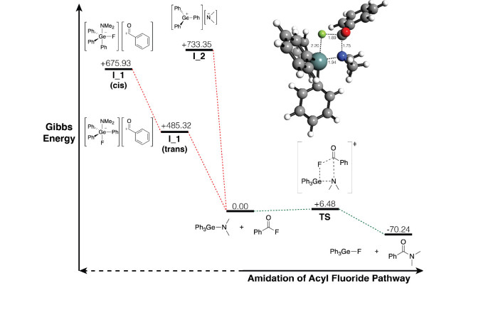 Amidation Pathway Website
